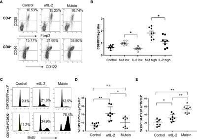 The antitumor effect induced by an IL-2 ‘no-alpha’ mutein depends on changes in the CD8+ T lymphocyte/Treg cell balance